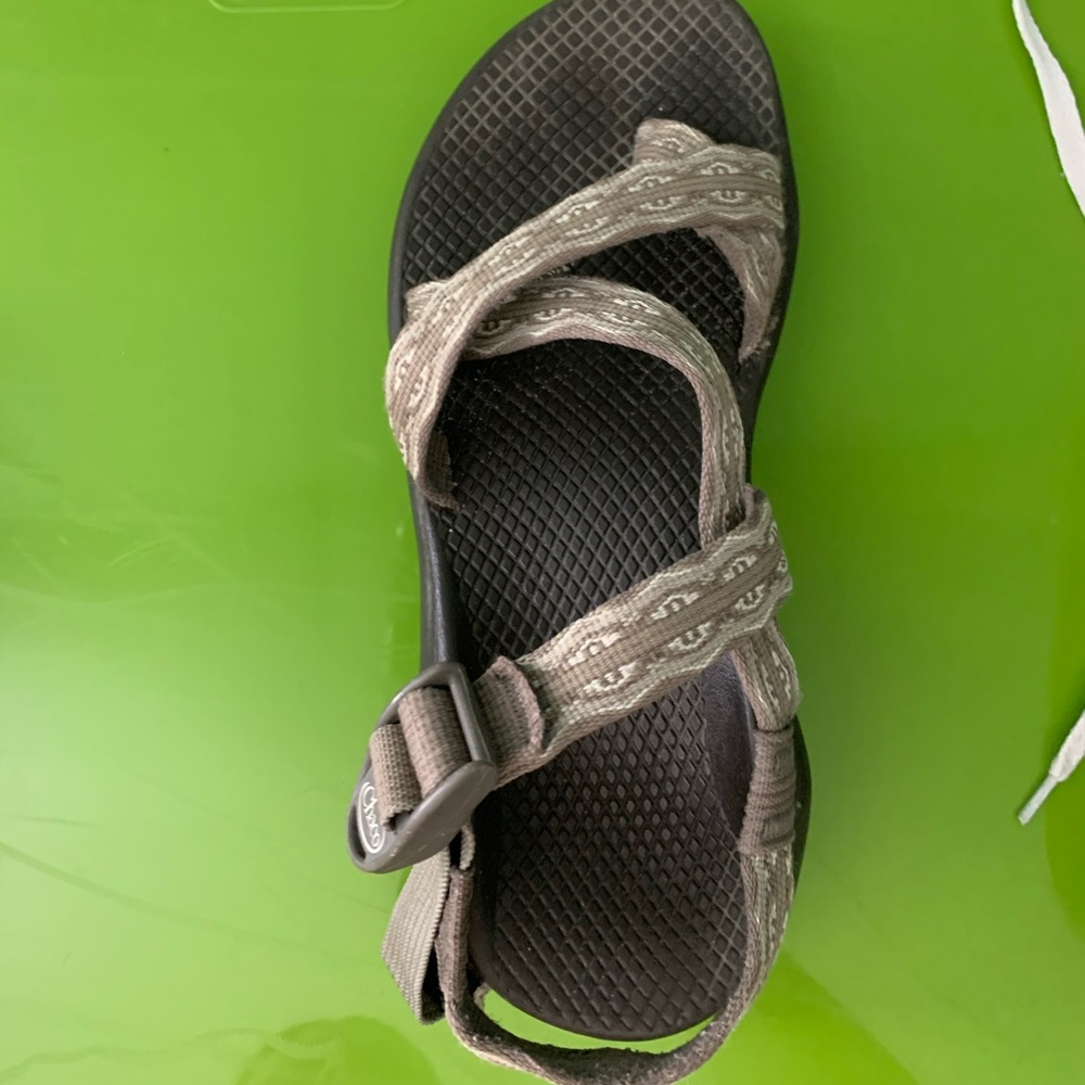 Grey Chaco
